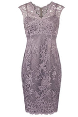 Elegant V Neck Sheath Short Lace Mother of the Bride Dresses