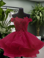 Ball-Gown Off-the-Shoulder Appliques Lace Short/Mini Organza Dress