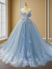 Ball-Gown Off-the-Shoulder Appliques Lace Sweep Train Tulle Dresses