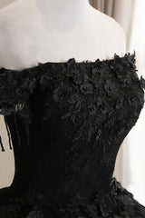 Black Tulle Lace Long Prom Dress, Black A-Line Evening Gown