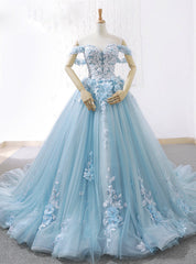 Blue Ball Gown Tulle Off The Shoulder Appliques Wedding Dresses