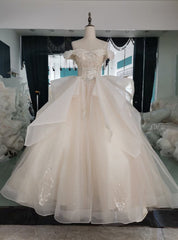 Champagne Tulle Off the Shoulder Appliques Beading Wedding Dresses