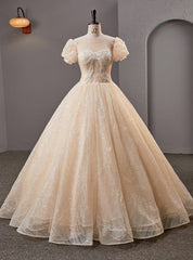 Champagne Tulle Sequins Puff Sleeve Backless Quinceanera Dresses