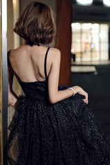 Black Simple v neck tulle long prom dress A line evening dress