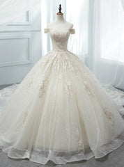 Ligth Champagne Tulle Sequins Off The Shoulder Appliques Wedding Dresses