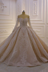 Gorgeous Long Sleeve Off the Shoulder Appliques Lace Ball Gown Wedding Dress